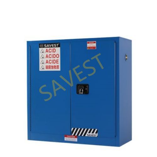 30Ӂ{ɫȫ SAVESTIS Ϻx