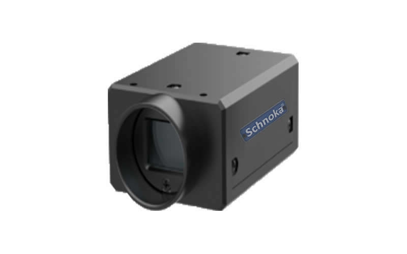 SchnokaIC