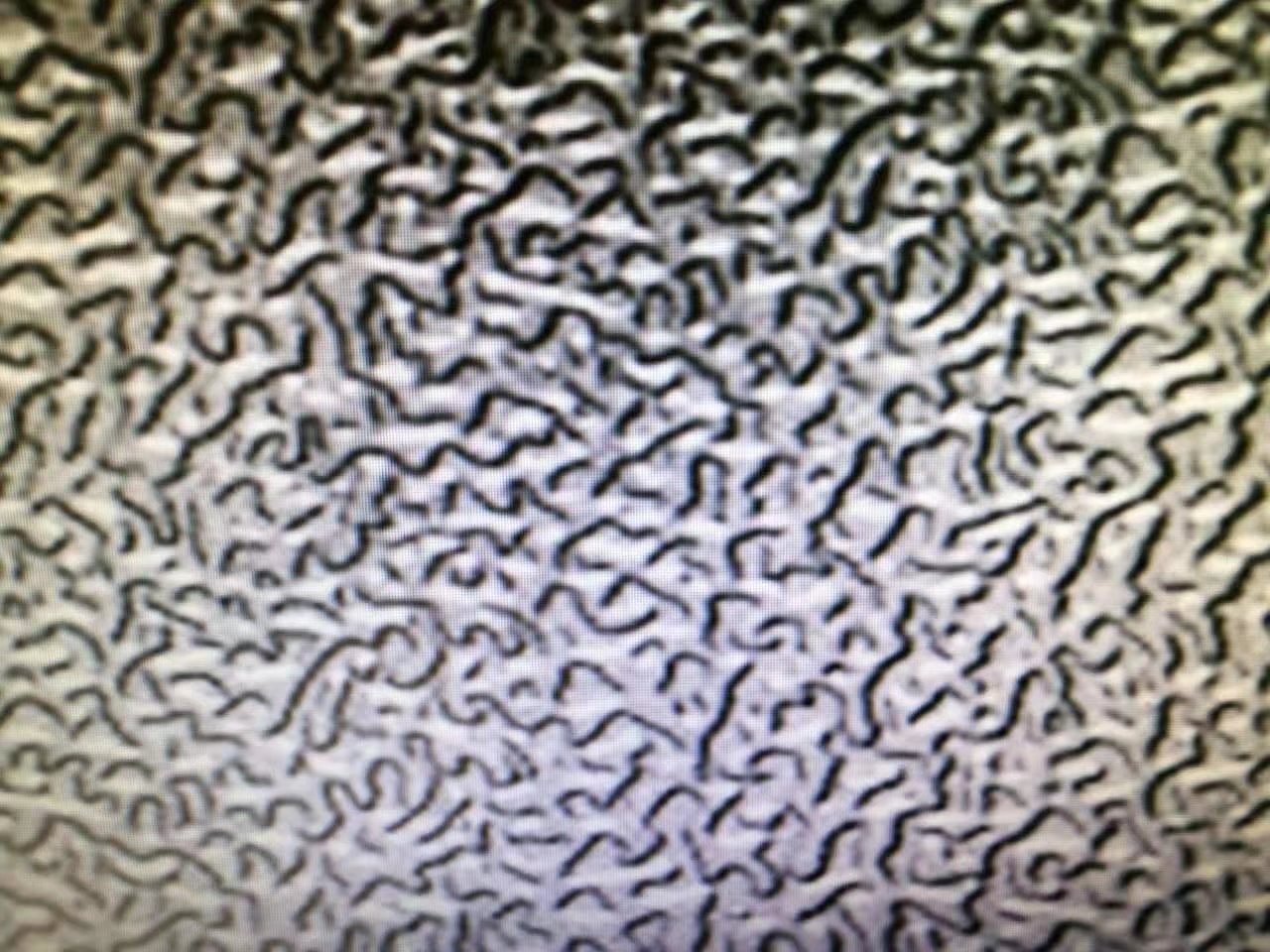 бXƤ ܈X-X ͸ߜ͸g