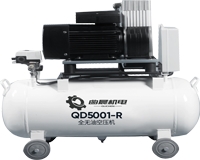 QD 5001-RȫoͿՉC