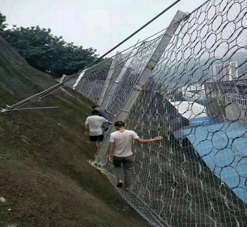 Ĵ߅oھWSҶ
