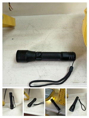 ZL8207zޟ