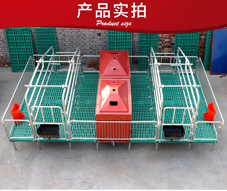 Ӻĸi䴲 \aĸi