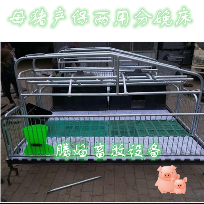 ʲôӵĸia