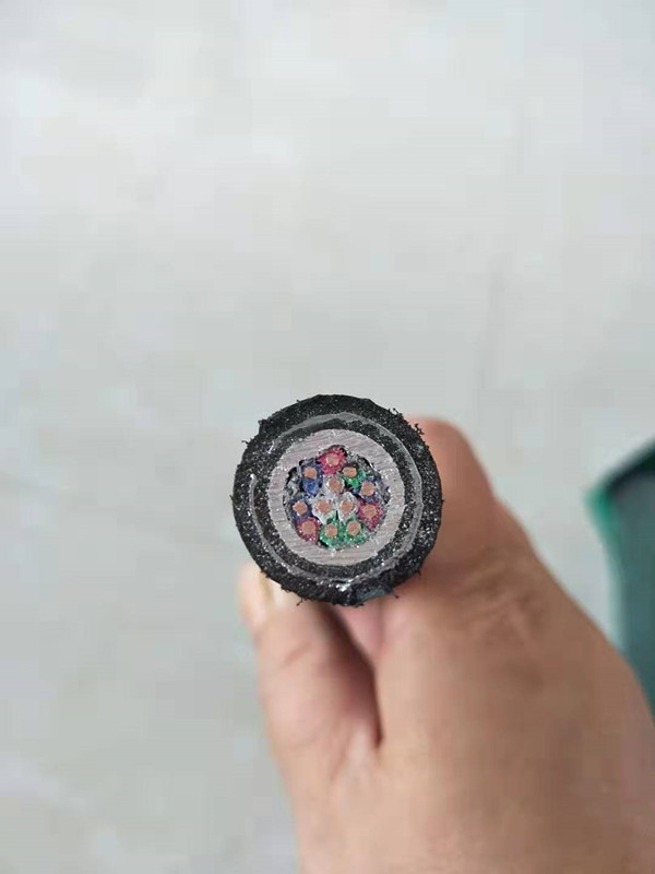 ̖|zbXoF·̖|PTYL2361*1.0