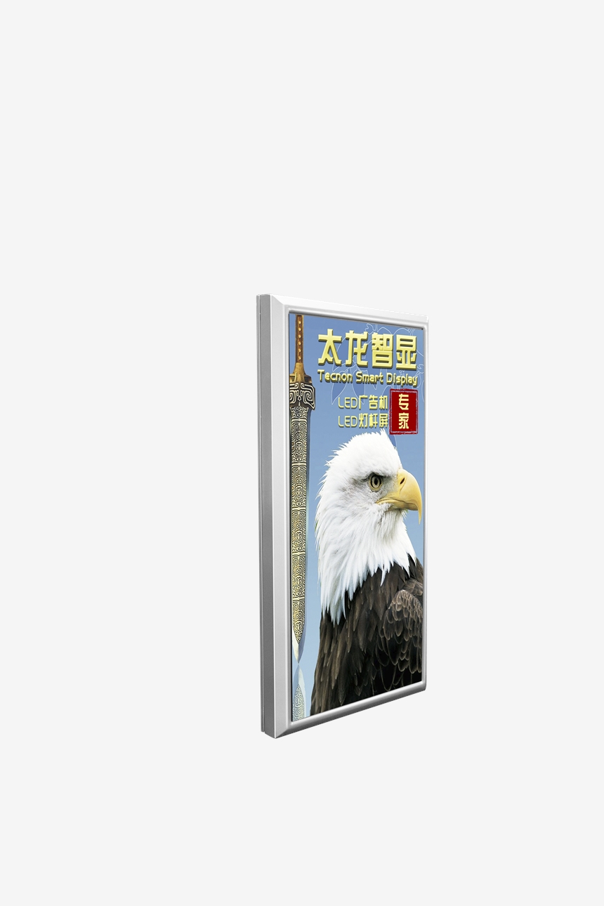 ȫTXLEDU