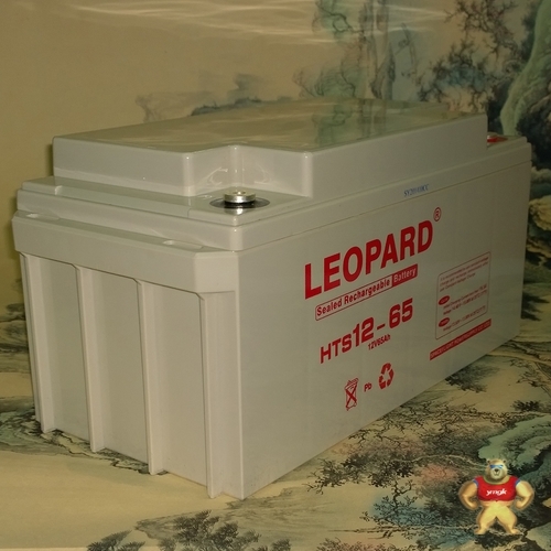 LEOPARD늳HTS12-65 12V65AHF؛ֱN