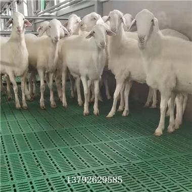 ©S  Ȧω| ø߼ܴ