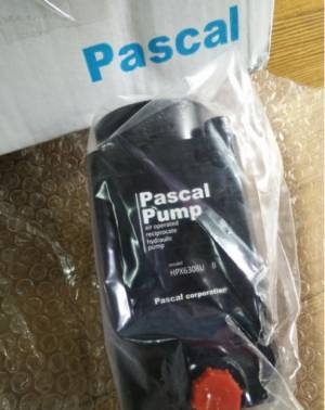 ձPASCAL˹͸