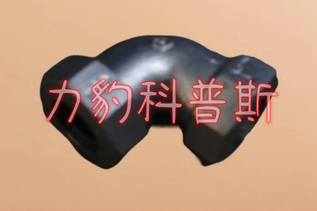 1625895521˹ L