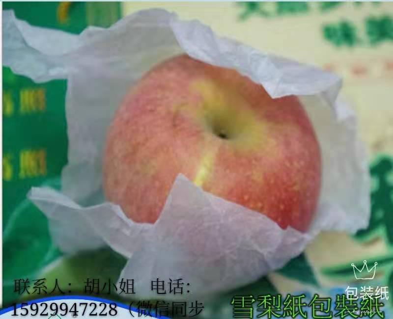 17GAؐpѩ漈Ob