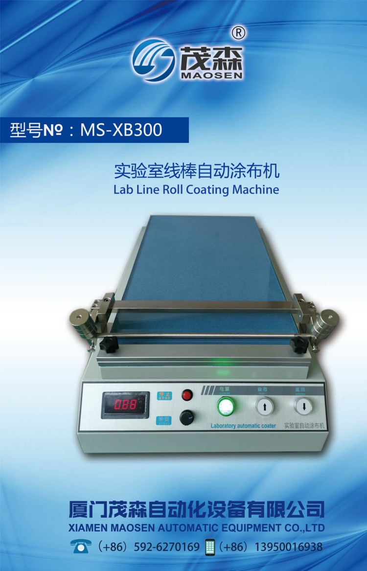 MS-300ͿCͿCСͿC