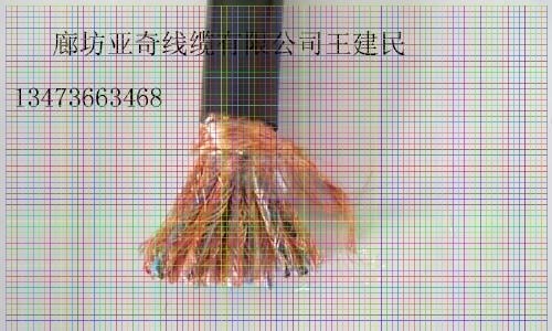 RWDZC-HYA23-500*2*0.5͟ou󌦔|Xһ