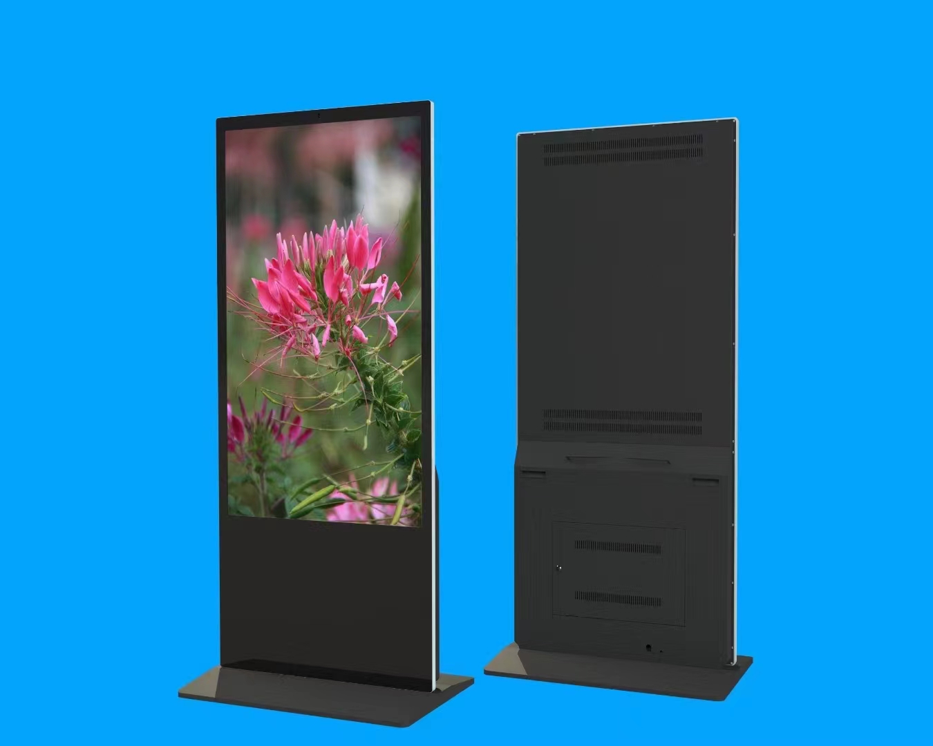 ҺVC55