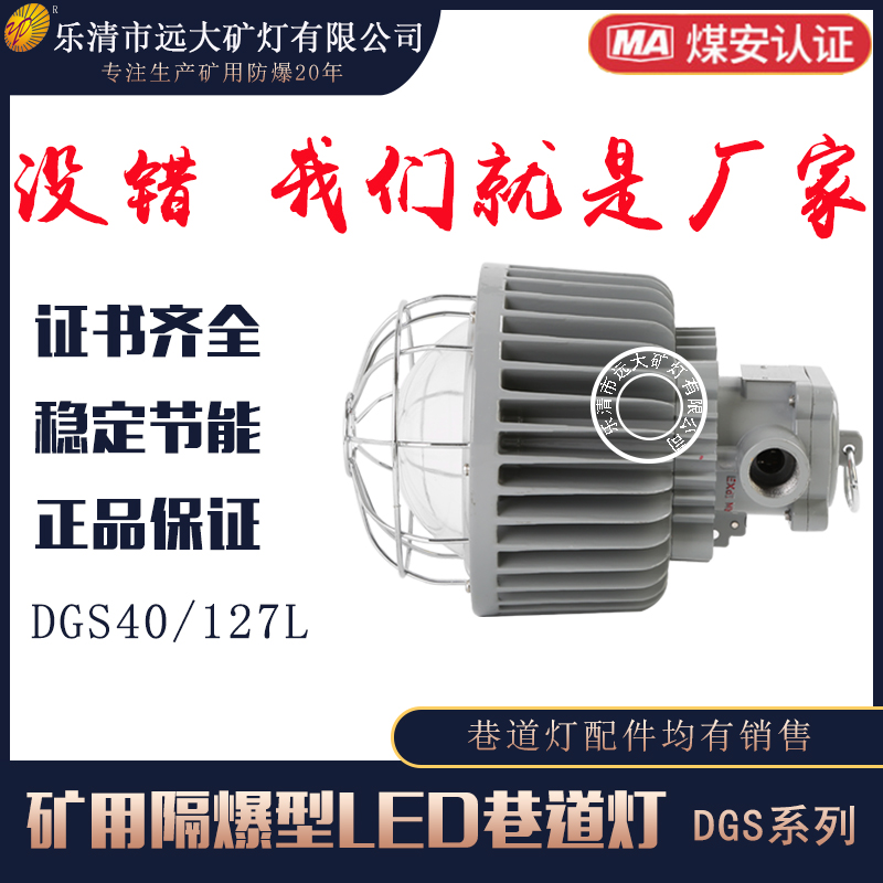 DGS50/127L(A)VøLED DGSϵ