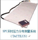 SPIrֲyϵyTACTILUS