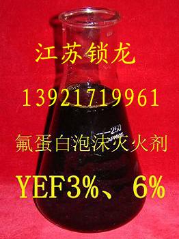 ĭĭҺ FP(YEF)h͵ͱĭ